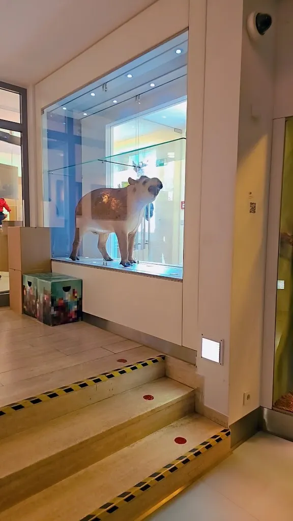 Bastet_Detmold_slider_image_2