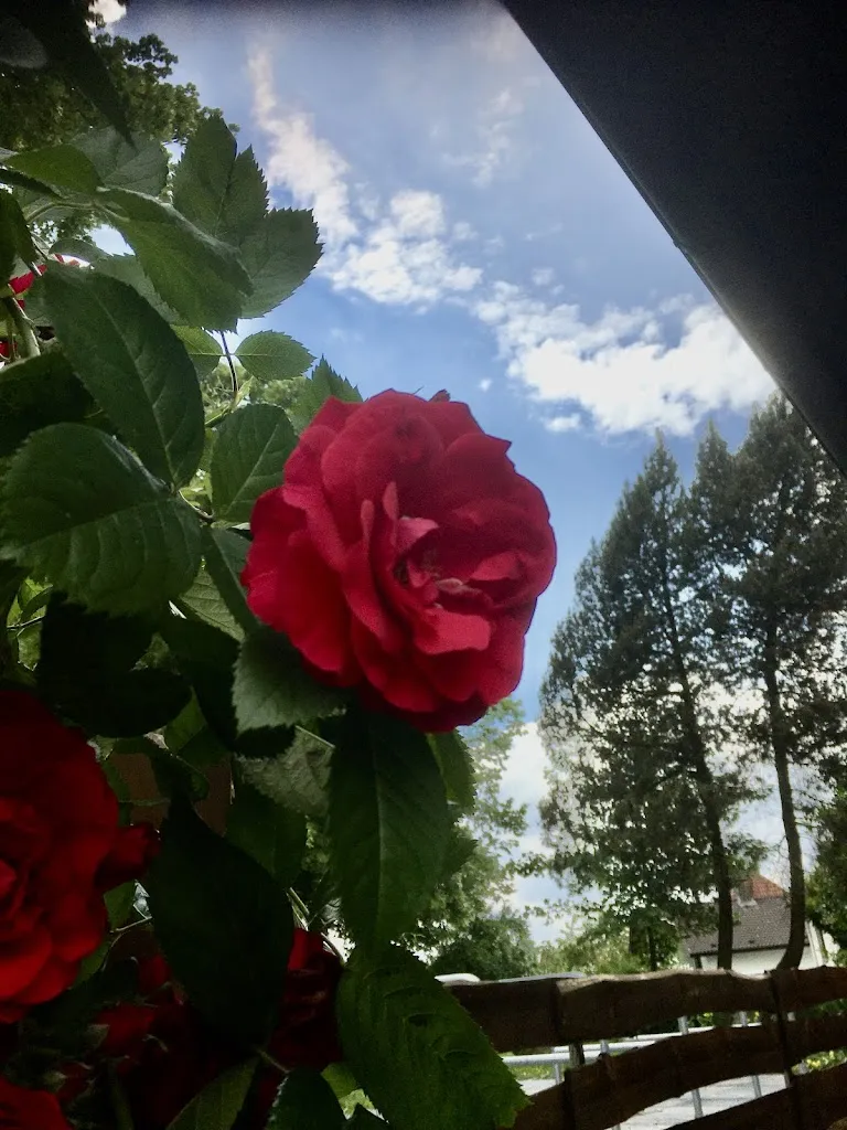 Klaus. S. Blechner_Gasthaus Zur Ortmühle_Detmold_review