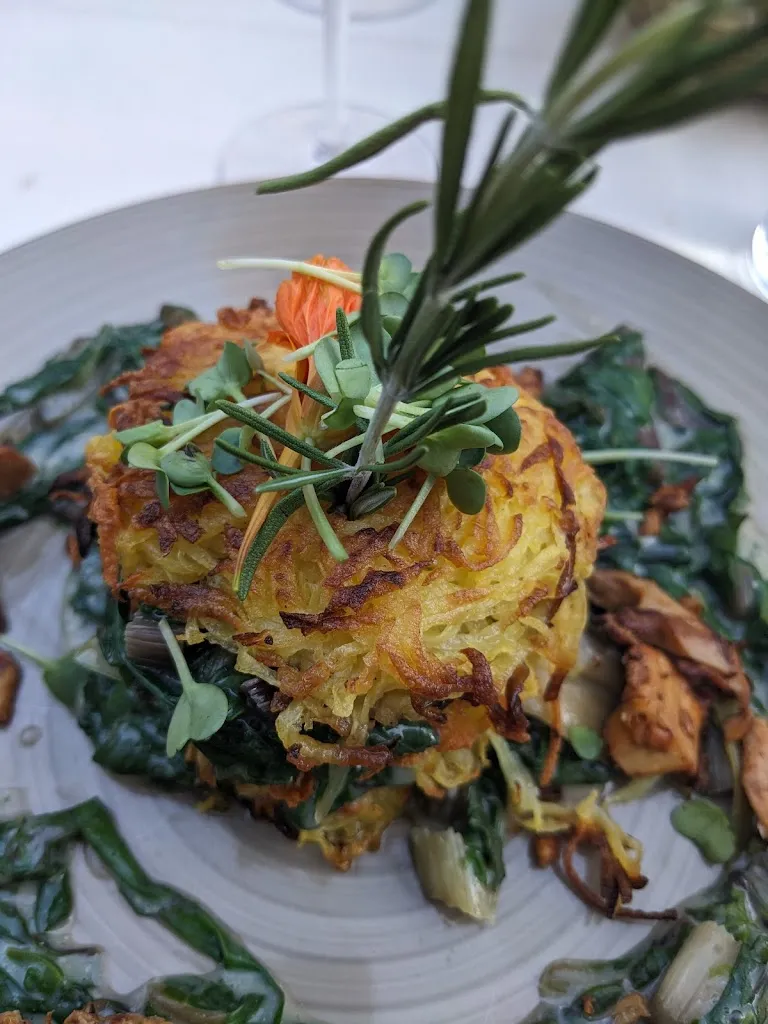 Sophia M_Kleehof in der Gärtnerstadt_Bamberg_review