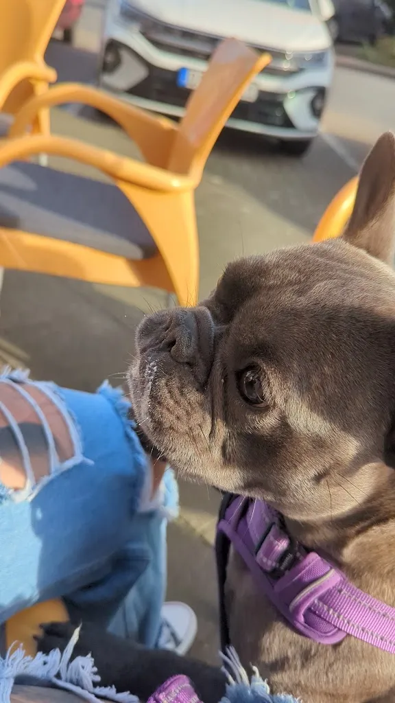 Davide und Vania Gavaz Eiscafé de Rocco restaurant in Dinslaken