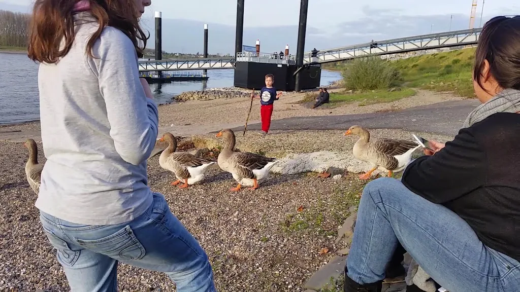 Haus Piwipp_Dormagen_slider_image_2