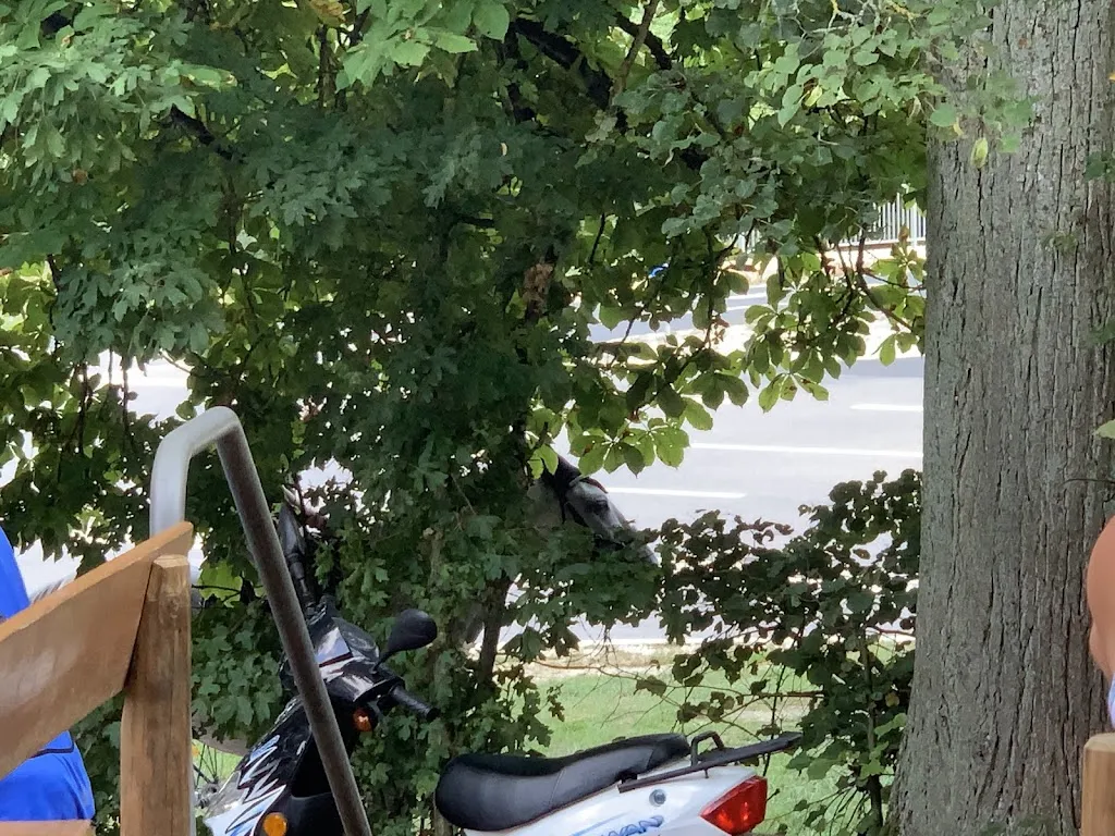 Fred Waltman_Schrauder Keller_Pettstadt_recensione