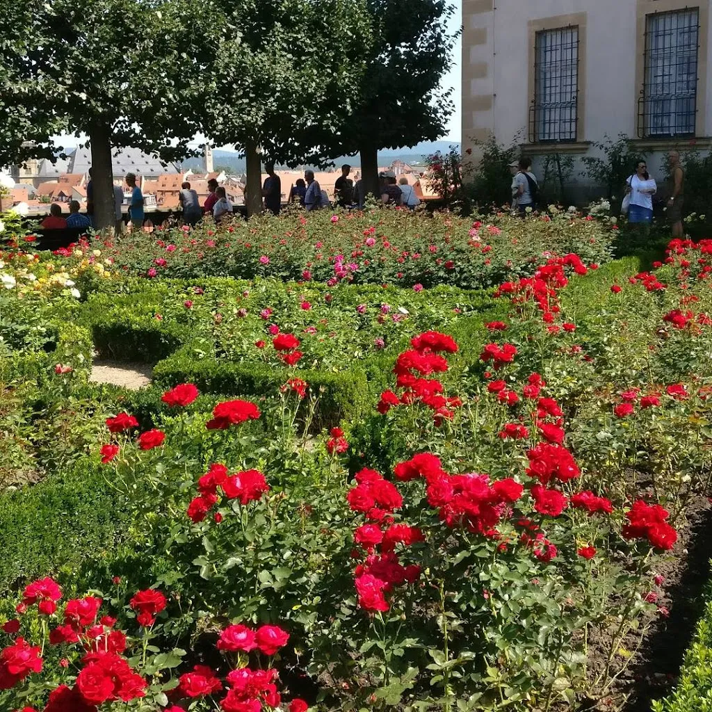 Nigel Birch_Cafè Rosengarten_Bamberg_review