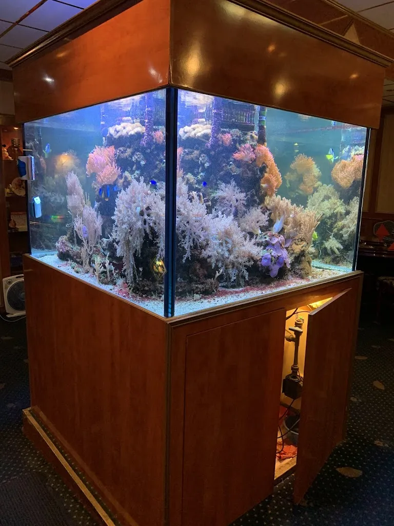 Unknown Traveller_Chinarestaurant Peking_Dormagen_review