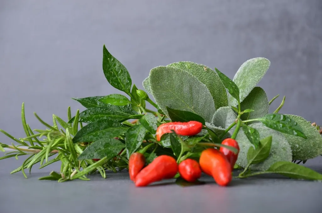 Cookies Veggies_Dorsten_slider_image_3