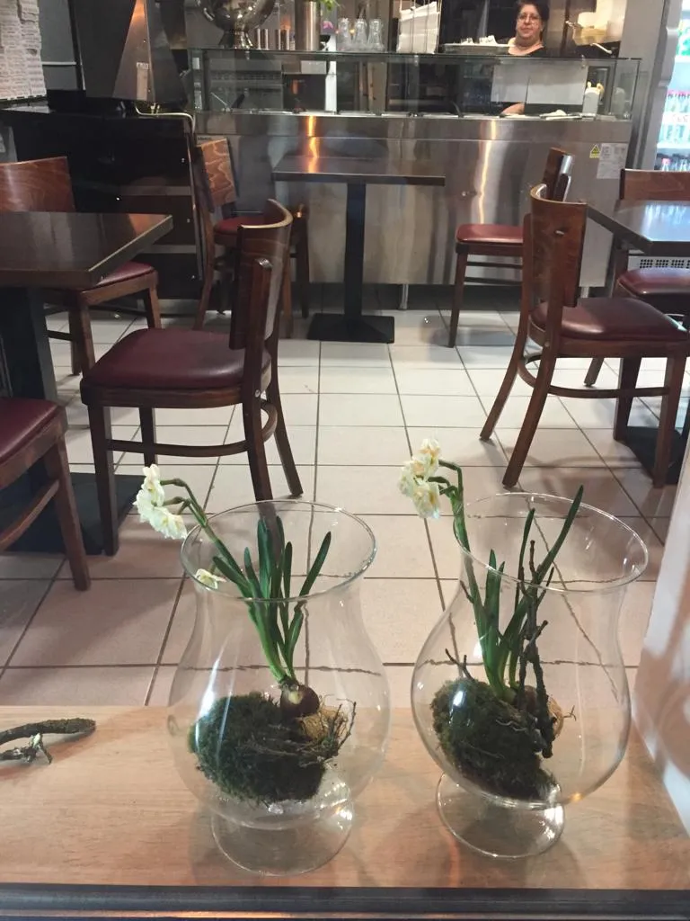 Papa George - Drensteinfurt (48317)_Drensteinfurt_slider_image_3