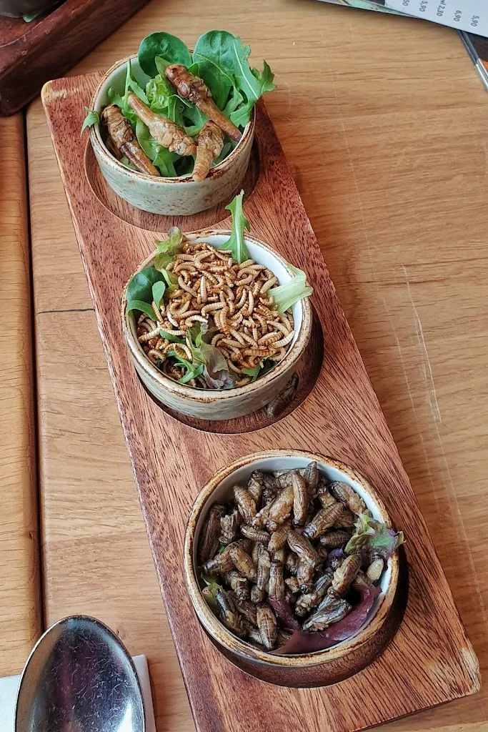 Menu_Mongo's Restaurant Duisburg_Duisburg_image_8