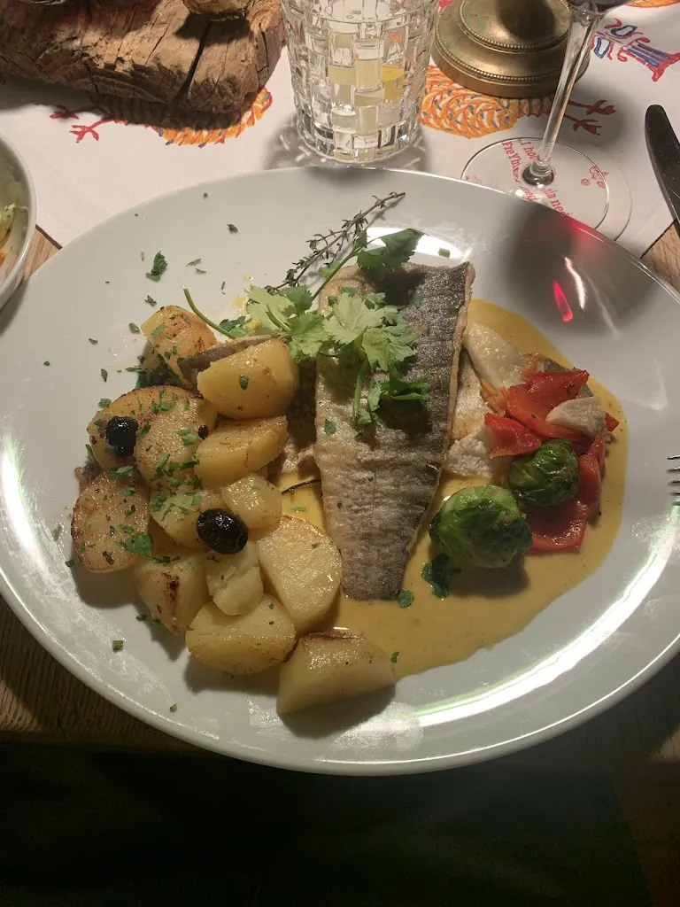 Shaharyar Kirmani_Danibauer_Freyung_review