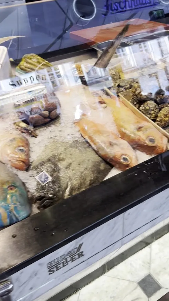 Fatemeh Mousavi_Fischhaus_Düsseldorf_review