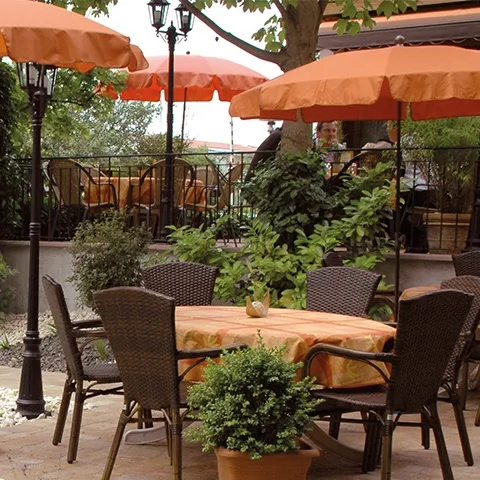 Gasthof Pfauen restaurant in Oberkirch