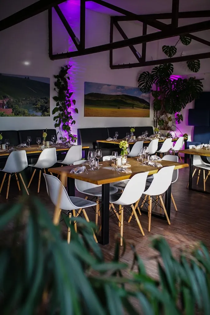 Vera Schollmeier_Mathias Meimberg Wein_Emsdetten_review