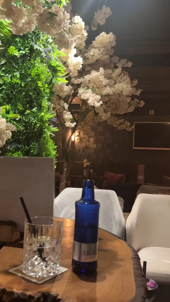 Anna b._4monkeys Shisha Bar_Emsdetten_review