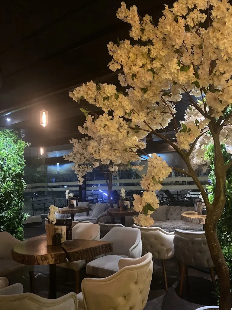 4monkeys Shisha Bar_Emsdetten_slider_image_3