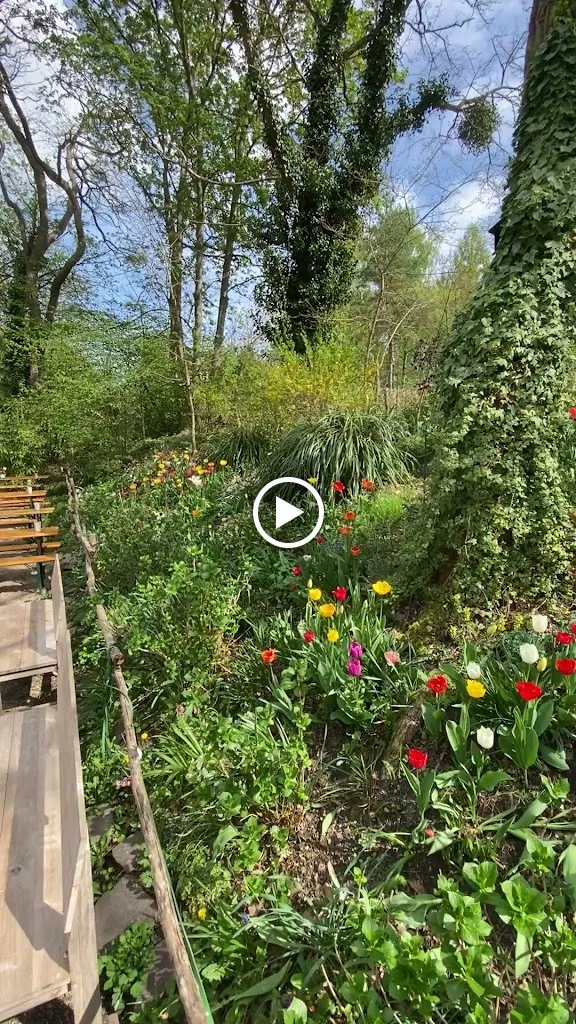 Waldbiergarten.eu_Erftstadt_slider_image_2