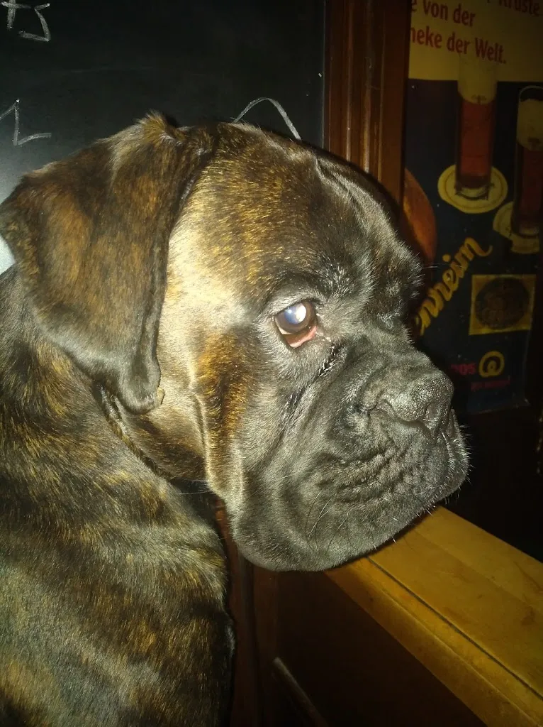 Erkelenzer Bier & Caféhaus_Erkelenz_slider_image_3