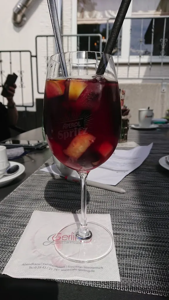 Menu_Gerling´s Restaurant_Erwitte_image_7