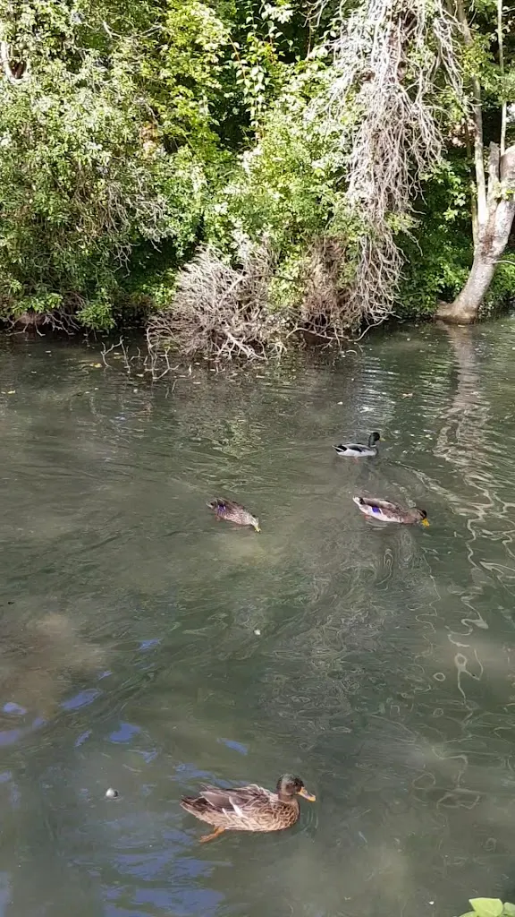 Schlosshotel Erwitte_Erwitte_slider_image_2