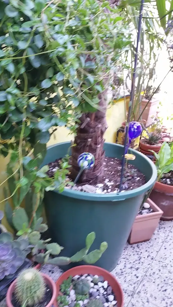 Zum Jägerhof_Düsseldorf_slider_image_2