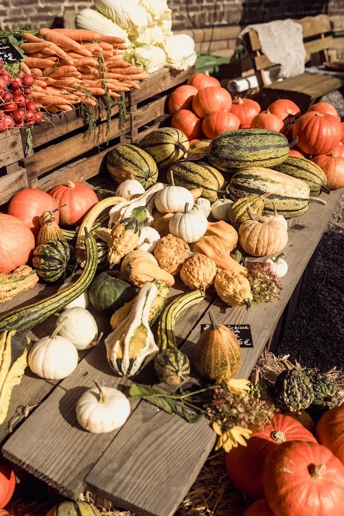 Hof Sümmermann - country living at its best_Fröndenberg/Ruhr_slider_image_2