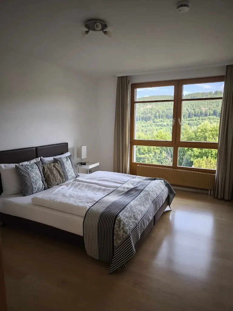 David Cohen_Boutique Hotel Alemannenhof_Hinterzarten_review