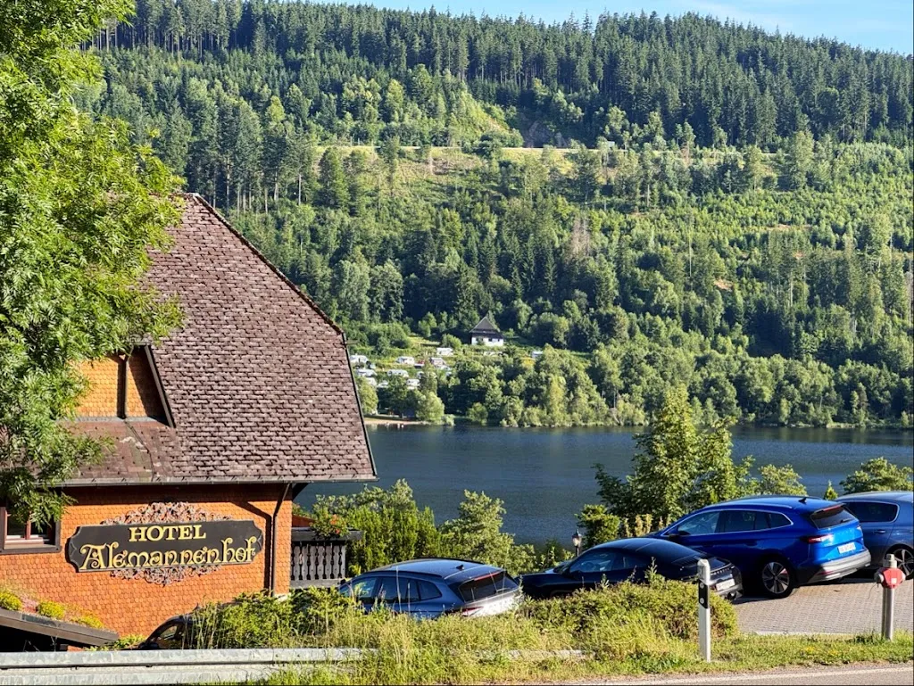 Jude Pais_Boutique Hotel Alemannenhof_Hinterzarten_review