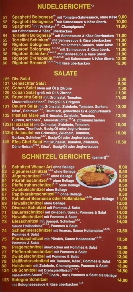 Menu_Efes Grill & Pizzeria_Geilenkirchen_immagine_4