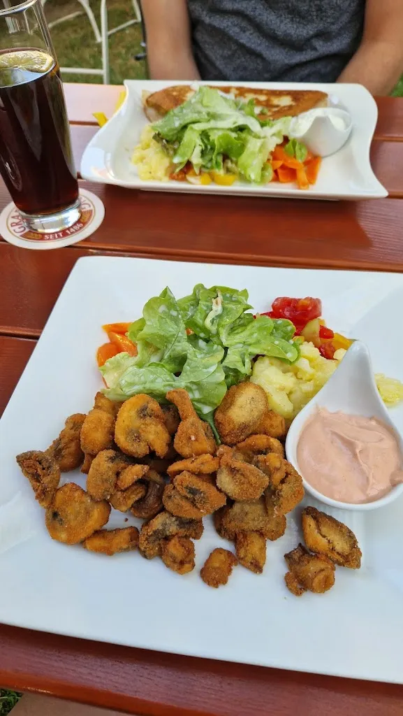 Jacqueline Scheucher_Waldschenke_Alz_review