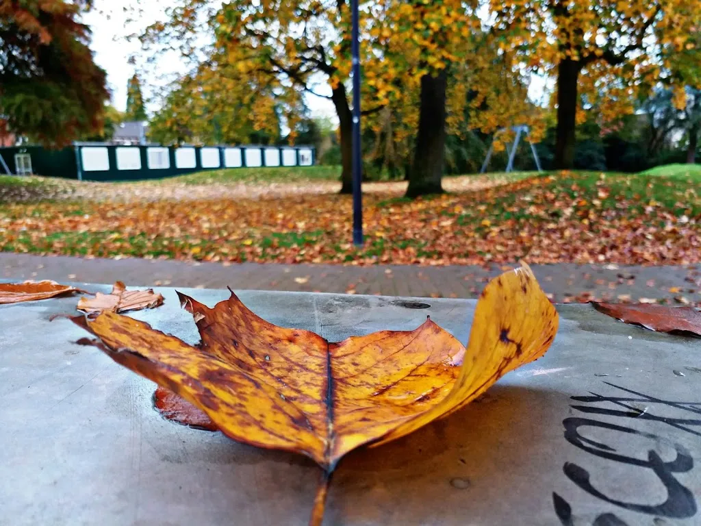 Am Stadtpark_Gescher_slider_image_1