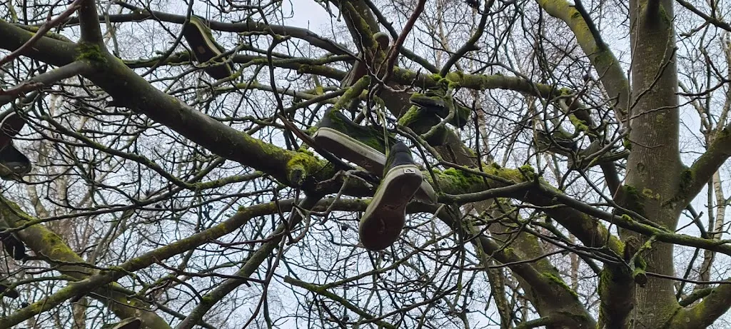 Am Stadtpark_Gescher_slider_image_2