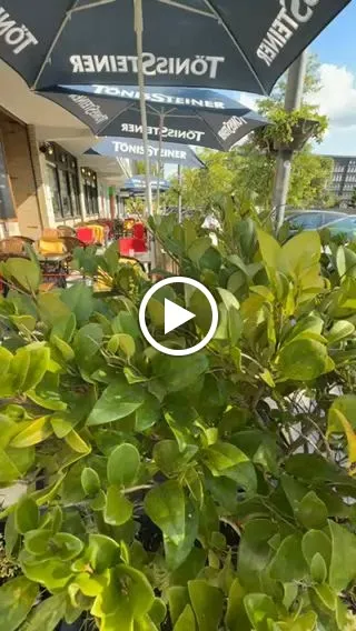 Tapas en Tigges_Gelsenkirchen_slider_image_2