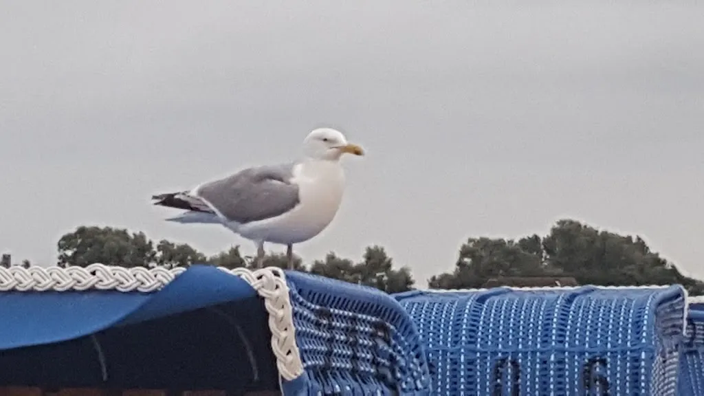 Gaststätte Augsburg_Geseke_slider_image_2