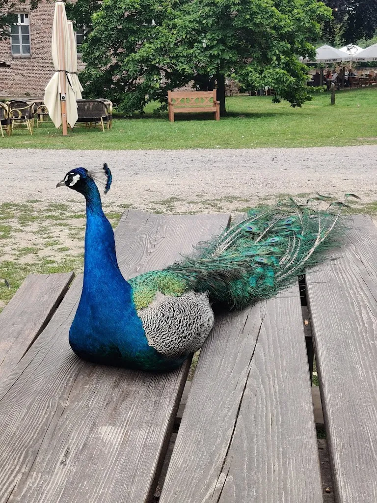 Ernest Malov_Kloster Graefenthal_Goch_review