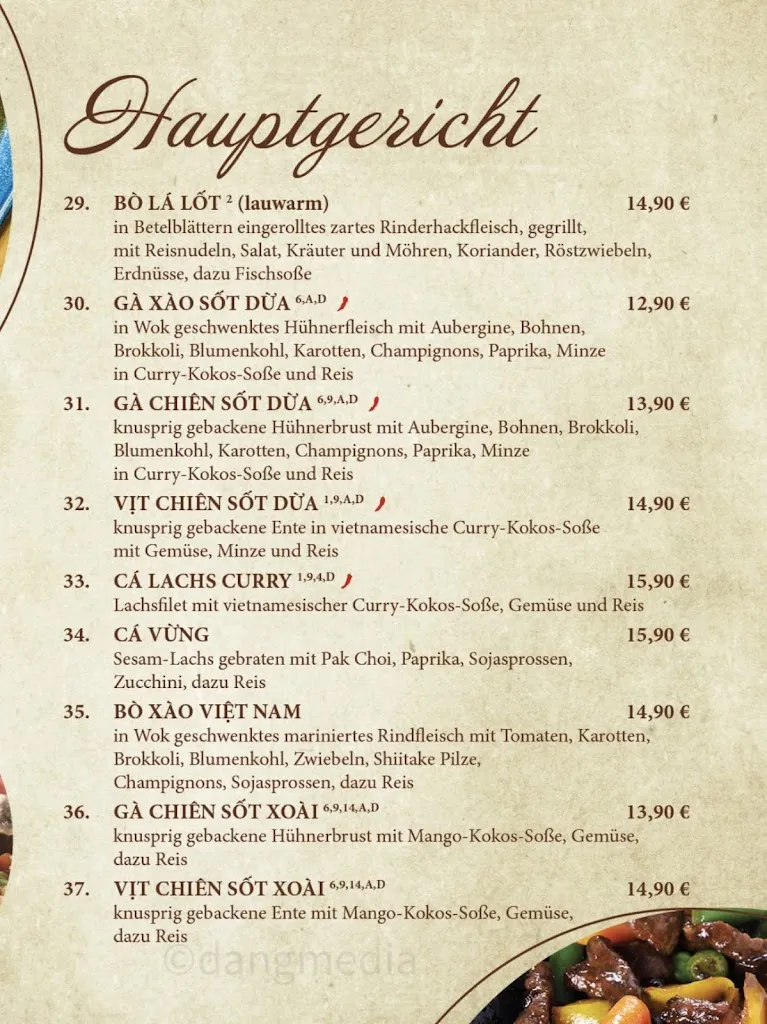 Menu_Hong Ngoc Vietnamesisches Restaurant_(Hessen)_image_1