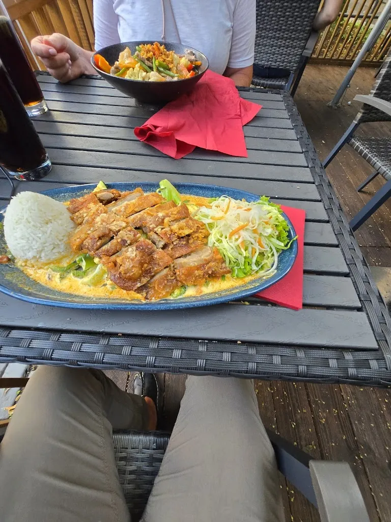 Menu_Hong Ngoc Vietnamesisches Restaurant_(Hessen)_image_5