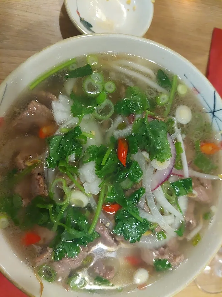 Menu_Hong Ngoc Vietnamesisches Restaurant_(Hessen)_image_6