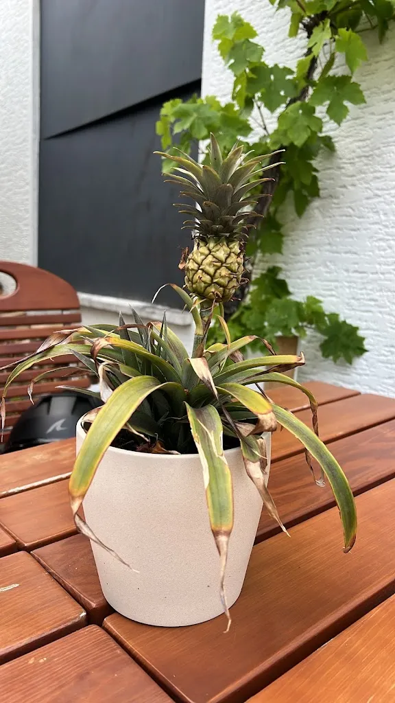 A Dvc_MeinThai Streetfood_Gütersloh_review