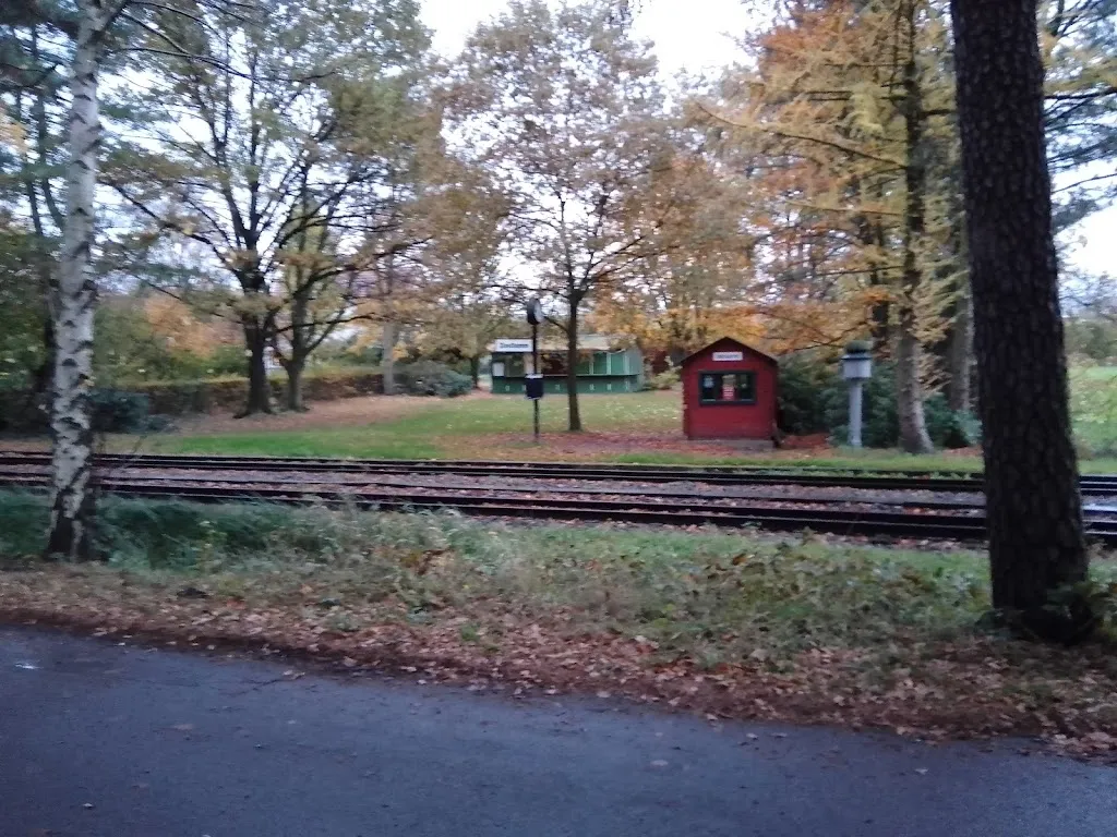 Richard Reiser_Small steam train Mühlenstroth e.V._Gütersloh_review