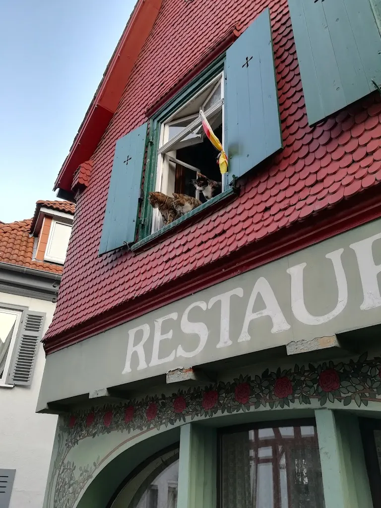 Restaurant Sankt-Petersburg restaurant in (Hessen)