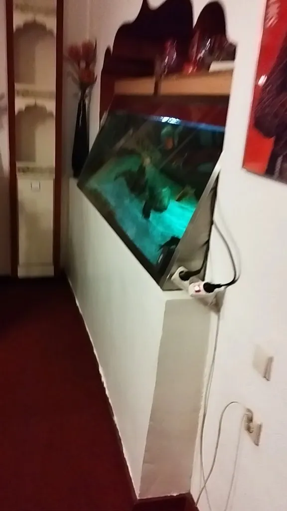 Punjab Garden Haltern am See_See_slider_image_2