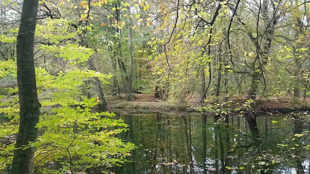 Restaurant Alter Garten_See_slider_image_2