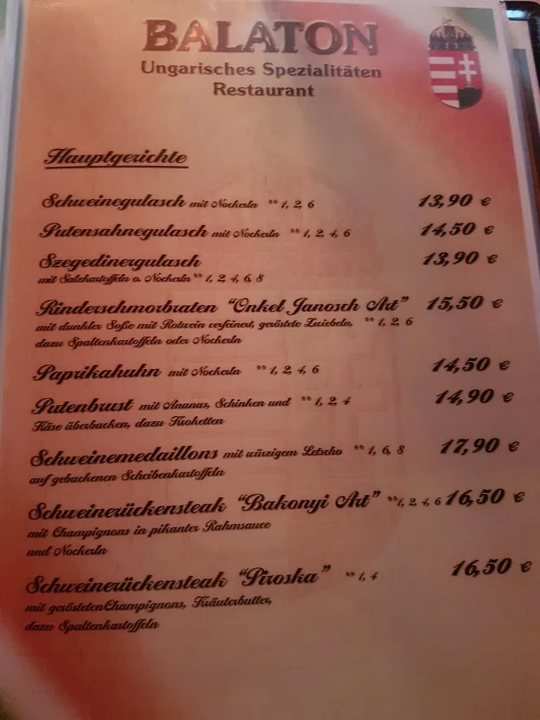 Menu_Balaton_(Saale)_image_2