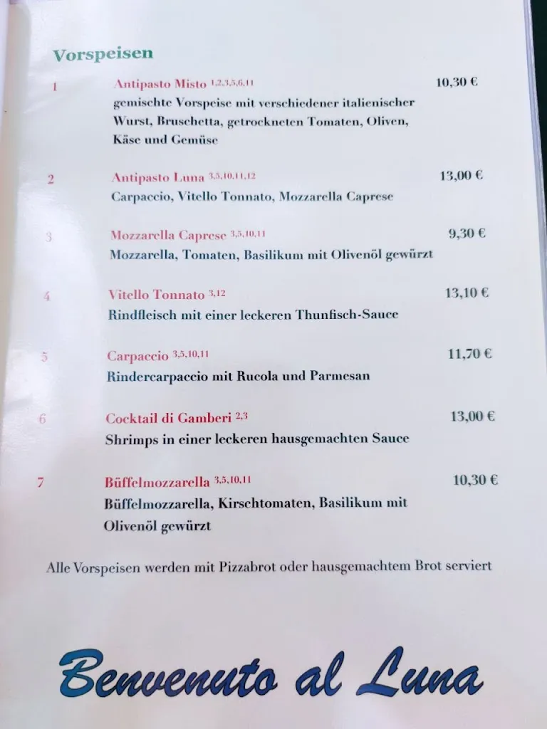 Menu_Pizzeria Luna_(Saale)_image_1