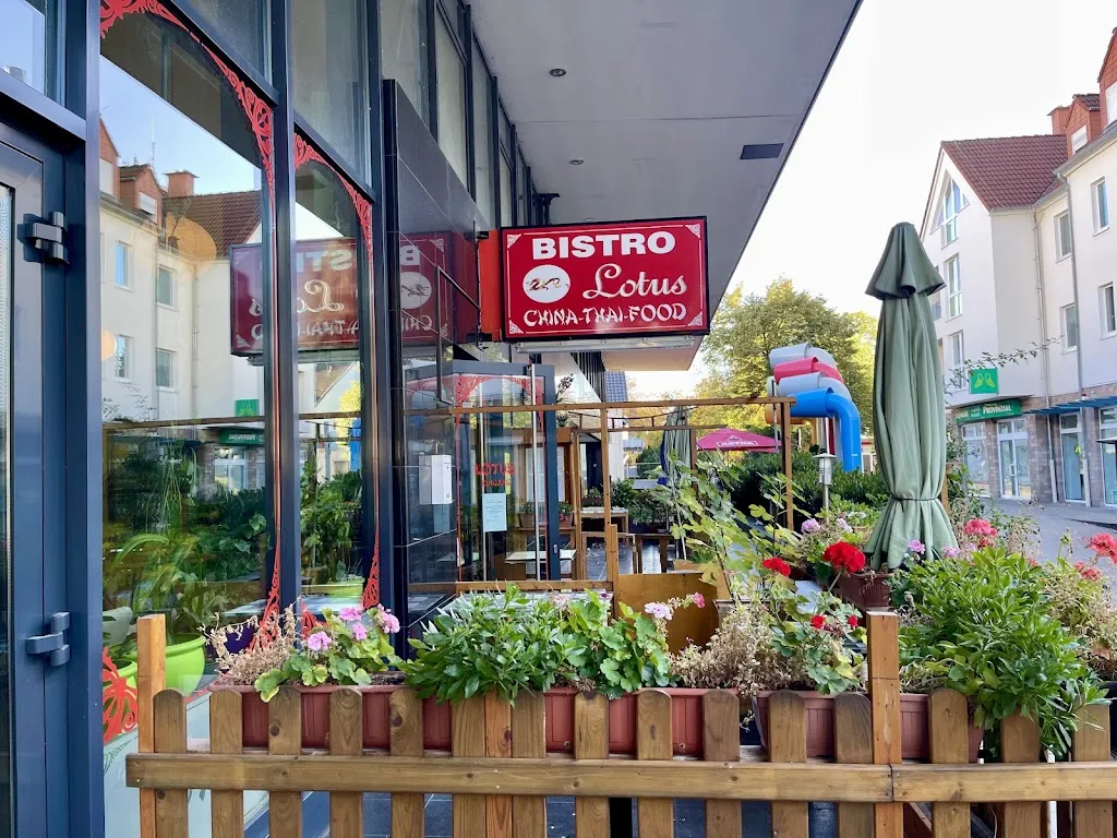 Lotus Bistro China-Thai Food_Hamm_slider_image_1