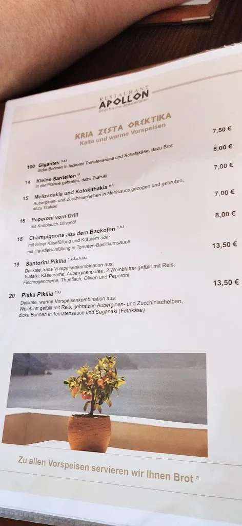 Menu_Apollon Griechische Spezialitäten_Havixbeck_image_2