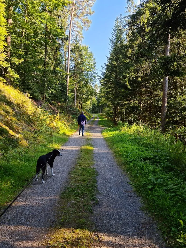 Tanja Bürgel_Gaststätte Kohlsägemühle Altensteig mitten im Nordschwarzwald_Altensteig_review