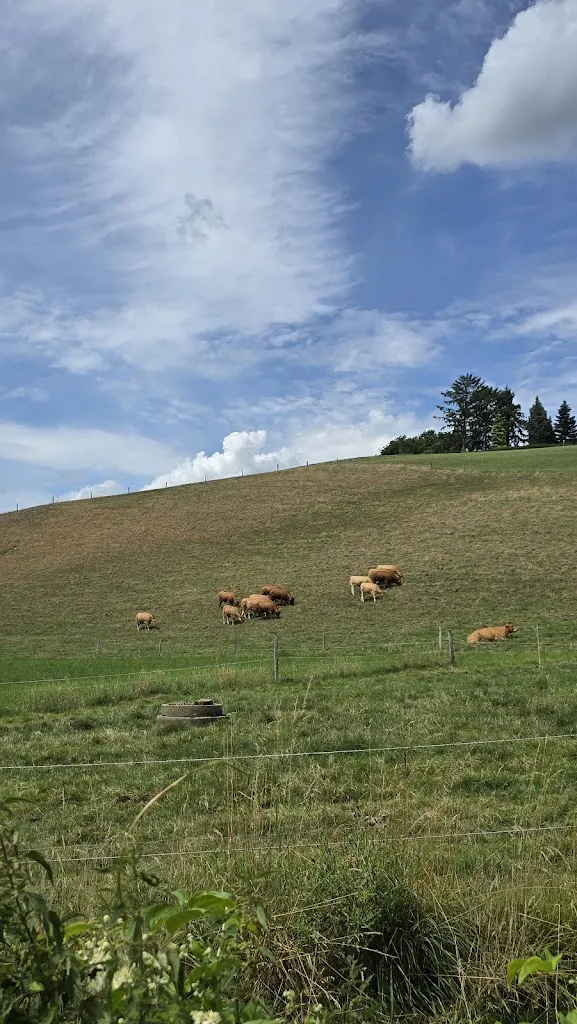 Glodan Mircea_Café Herberge_Heiligenhaus_review