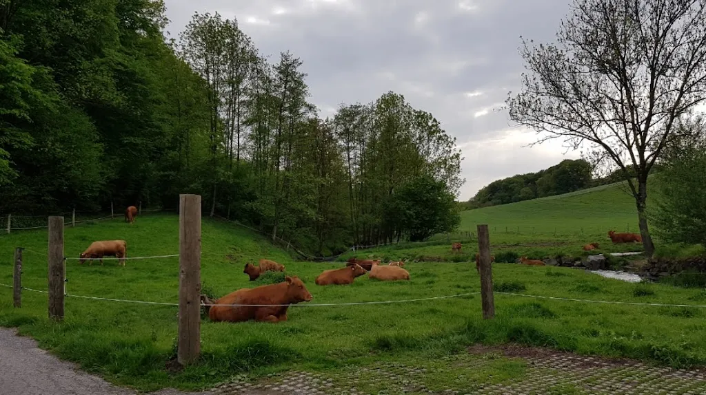 Café Herberge_Heiligenhaus_slider_image_3