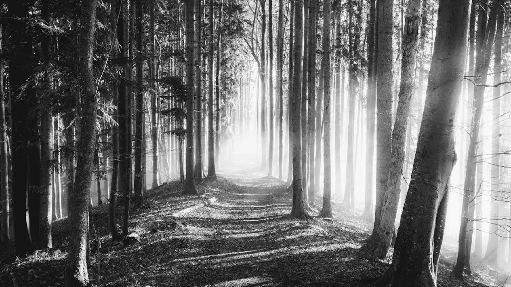 Grenzlandstuben_Hellenthal_slider_image_3