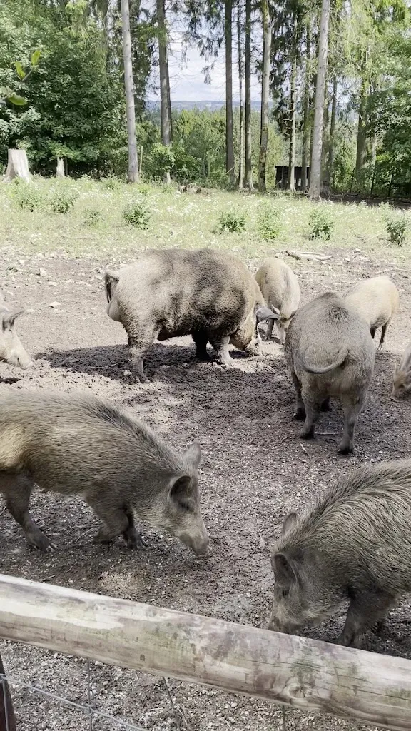 Wine with Noga_Greifvogelstation & Wildfreigehege Hellenthal_Hellenthal_review