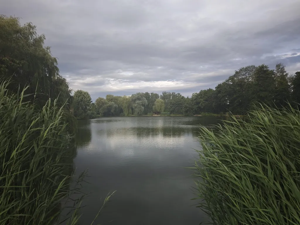 Frank Kristek_Restaurant Seeblick_(Wetterau)_review